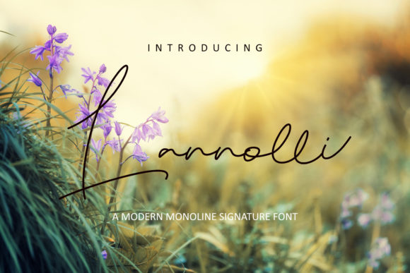Lannolli: A Modern Script Font for Web Design